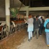 Obisk kmetije Zadrgal in Zavoda Grunt_strokovna ekskurzija